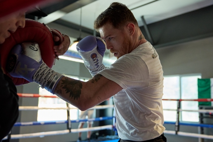 Bob Arum Favors Canelo Over Crawford in Potential Fight: ‘He’s the Bigger, Stronger Guy’ - The Punch Junkie™ News